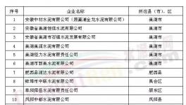 中材、中聯(lián)水泥等13家企業(yè)被列審核名單