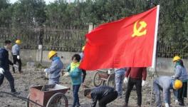 寧波海螺水泥公司黨員突擊隊(duì) “造綠色廠區(qū)，建美麗企業(yè)”