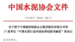 山水、堯柏、南方等企業(yè)榮獲中國(guó)水泥行業(yè)科技標(biāo)準(zhǔn)創(chuàng)新貢獻(xiàn)獎(jiǎng)