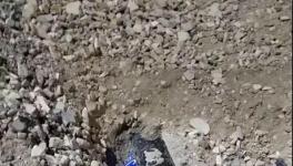 大貨車闖紅燈側(cè)翻!小車瞬間被埋!致3人死亡！