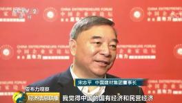 宋志平：混合所有制做好了如果大家愿意 國(guó)有企業(yè)可以退出