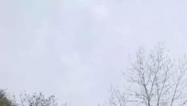 這家水泥廠破壞青山、污染環(huán)境何時休？