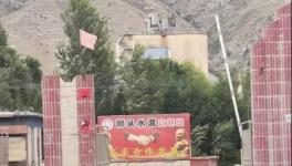 村民舉報：已關(guān)停許久的水泥廠又開始生產(chǎn)，粉塵污染嚴重