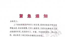 狼來了！這家水泥廠已有員工被抓傷！