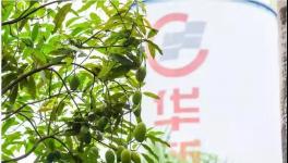 人與自然和諧相處！水泥廠迎來神秘訪客！