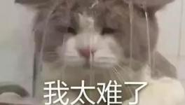 國慶節(jié)的催款心聲，讓數(shù)萬水泥人不再沉默！