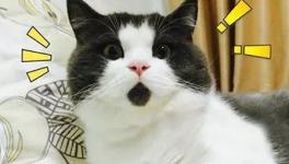 美！太美了！這些花園水泥廠您去過嗎！