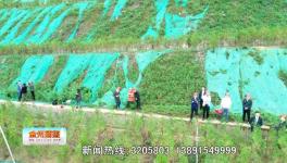 點贊！這一地區(qū)礦山生態(tài)環(huán)境恢復治理近200公頃！