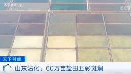 1噸海水超千元！廢料還能造水泥！