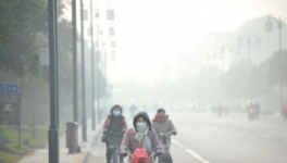 水泥停產(chǎn)！工地放假！物流停運！“春運”提前來了！