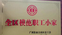 興業(yè)海螺質(zhì)量控制處工會(huì)小組榮獲“2019年全區(qū)模范職工小家”榮譽(yù)稱(chēng)號(hào)