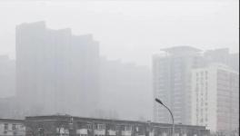 停工停產(chǎn)一個(gè)月！霧霾還是爆表！3000多家水泥企業(yè)“冤不冤”?