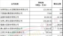 行業(yè)利潤(rùn)創(chuàng)歷史新高！各大水泥集團(tuán)2019年業(yè)績(jī)發(fā)布！