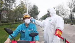 視頻：無(wú)人駕駛調(diào)試、大型設(shè)備組裝......蕪湖海螺復(fù)產(chǎn)！