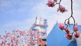 春色滿廠區(qū)，花園水泥廠來了??！