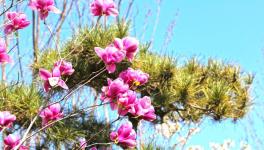 復工復產(chǎn)進行時：詩韻畫卷里的洛陽中聯(lián)！
