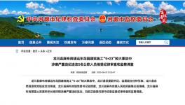 8死1傷事故，5名公職人員涉違紀(jì)被調(diào)查！