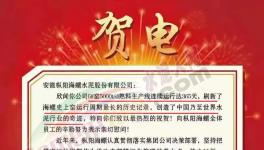 又是海螺水泥！創(chuàng)造世界水泥行業(yè)奇跡！