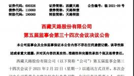 西藏天路股份有限公司高管人員任職大變動！