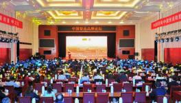 中建材在全球承接379條水泥生產(chǎn)線、市場占有率超過65%！