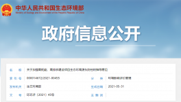 生態(tài)環(huán)境部出臺意見嚴(yán)格審查“兩高”項目！