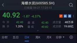 太慘了！海螺水泥1200億沒了！