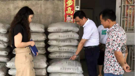 市場(chǎng)上這7個(gè)主要水泥品牌被質(zhì)量抽檢！