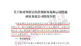 海螺創(chuàng)業(yè)擬對(duì)外轉(zhuǎn)讓這兩家公司100%股權(quán)！