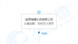 加速收購(gòu)！海螺水泥在下一盤大棋！
