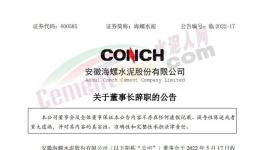 海螺水泥公告：王誠不再擔(dān)任公司法定代表人！