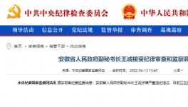 突發(fā)！海螺原董事長被查！