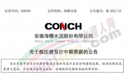 海螺水泥擬發(fā)行不超100億票據(jù)！
