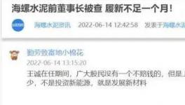 海螺蒸發(fā)1300億，逾700億元投資或存變數(shù)！