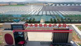 巧用水泥余熱，工業(yè)轉(zhuǎn)型反哺農(nóng)業(yè)！