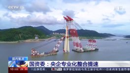 央視新聞報道：中國建材專業(yè)化整合成效經(jīng)驗交流！