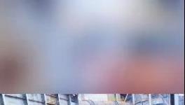 殺公雞！開(kāi)窯！水泥廠“辟邪”！