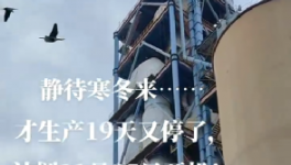 全停！最長200天！20個省水泥廠停產(chǎn)！