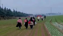 反撲！多省工地停工！水泥廠停發(fā)！商混站“告急”！