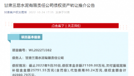 公告！多家水泥廠被賣！