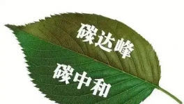 縫出匠心！這家環(huán)保企業(yè)脫穎而出！市場(chǎng)占有率名列前茅！