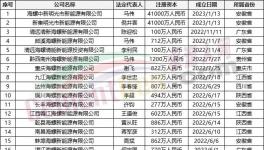 瘋狂！“上下”通吃！海螺連續(xù)成立50多家公司！